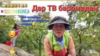 Дар ТВ баромадем! Хурмочинӣ рафтем