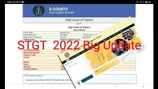 STGT 2022 Update // STGT Review Petition//