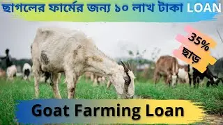 Goat Farming with Govt. Subsidy loan| Agriculture Tour