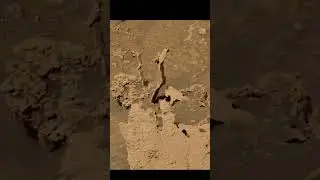 Nasa rover spots bizarre ‘wizard staff’ on Mars #mars #history #travel #beach #nature #perseverance