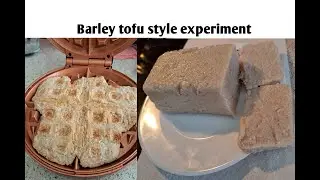 BARLEY TOFU STYLE