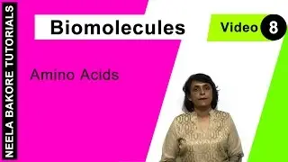 Biomolecules | NEET | Amino Acids | Neela Bakore Tutorials