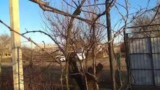 В преддверии нового года.