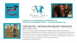 Podcast Interview with Tom Mayes - Integrated Equine Therapies