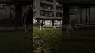 Doggy