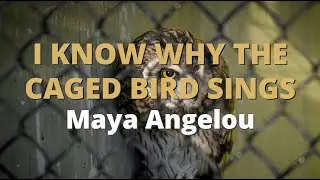 I Know Why The Caged Bird Sings ~ Maya Angelou | Best Motivational Poem
