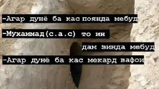 Суханхой тилои бехтарин Лайка монен Дунёи Асрор