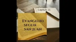 El evangelio según San Juan cap.11
