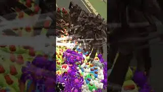 zombie apocalypse 