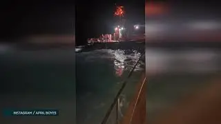 Viral video of orca boat attack off Gibraltar could harm conservation efforts, say Nautilus Project