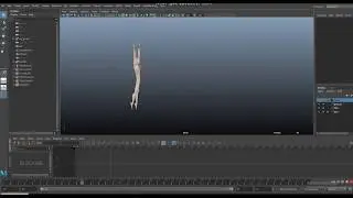 Animation Process (Blocking VS Spline)