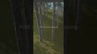 Post Processing VS No Post Processing 
