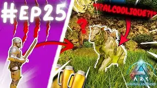 Ce dinosaure PUE la BIÈRE…oui oui(#ep25 Ark Ascended)