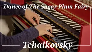Dance of The Sugar Plum Fairy - Tchaikovsky