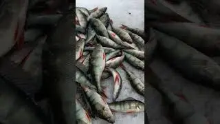 Скоро на канале😄👍
