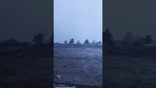2 ноября 2023 г.