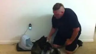Tweeting pet dishes with Arduino