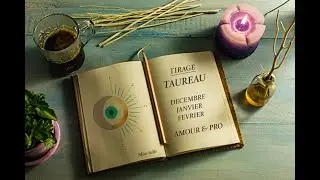 ✨TAUREAU✨ DECEMBRE JANVIER FEVRIER 2021 ❄️ AMOUR & PRO🗝