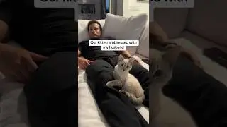 Another day… Another spare human… 