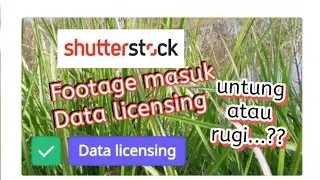 Video Approved Sebagai Data Licensing di Shutterstock