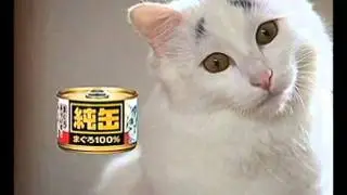Japanese Cat Food -01- Old People Suck