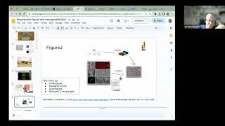 Reproducible figures with Inkscape, R, Python and ImageJ