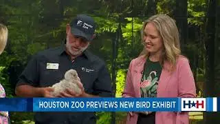 Houston Zoo's NEW Birds of the World Exhibit | Houston Happens