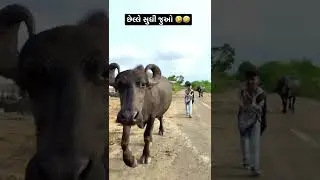 Subscribe Karo ❤️🤣 