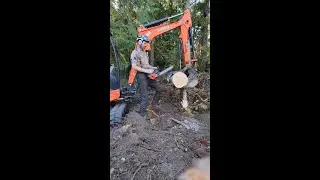 Power to Cut Hardwoods.M18 FUEL™ Top Handle Chainsaw.🎥 @mitchzenobitrees