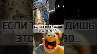 IF YOU SEE THIS TREE, RUN!