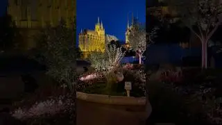 Blumenbeet auf dem Domplatz #deutschland #thüringen #erfurt #blumen #германия #німеччина #germany