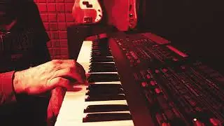 Pacca - Little Shoes