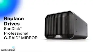Replace Drives: SanDisk Professional G-RAID MIRROR