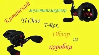 Yi Chao T-Rex. Китайский мультипликатор. Обзор из коробки.