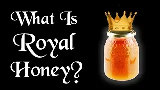 What Is Royal Honey?