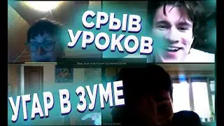 СРЫВ ОНЛАЙН-УРОКОВ // ПРИКОЛЫ НА ДИСТАНЦИОННОМ ОБУЧЕНИИ // УГАР В ZOOM