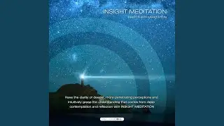 Insight (Prologue)