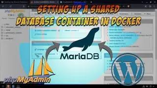 Setting Up Shared Database Container in Docker [3 methods]