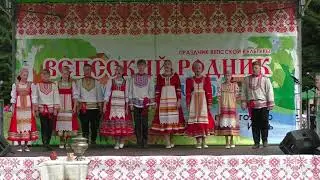Старшая группа коллектива 