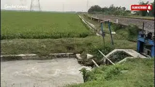 SUASANA DI PINGGIR SAWAH.. 