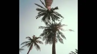 ✰free// headspace // alternative/indie rock x dream pop type beat 2021