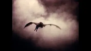 flora cash - Dragon (Official Visualizer)