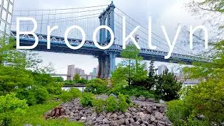 How Brooklyn's Renovated Waterfront is Changing NYC