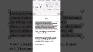 How to Copy Paste Multiple Items in Windows at Once 