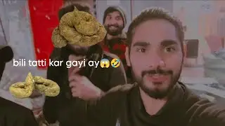 Bili Tatti Kar Gayi Ay🤣👈 2nd VlOG With Friends
