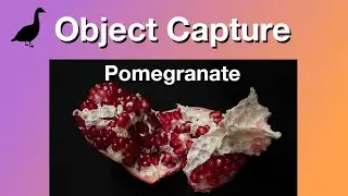 Apple's 3D Photogrammetry of a Pomegranate