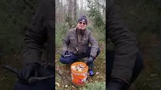 Сам Юрий Соболь собирает грибы. 05.11.2023г. (видео №2)