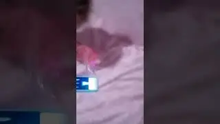Звонок Волкова севишке