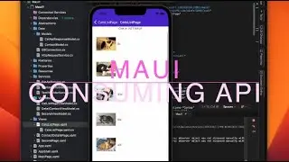 MAUI Consuming API and display in Collection View