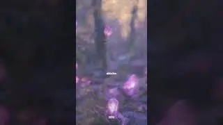 Untitled video